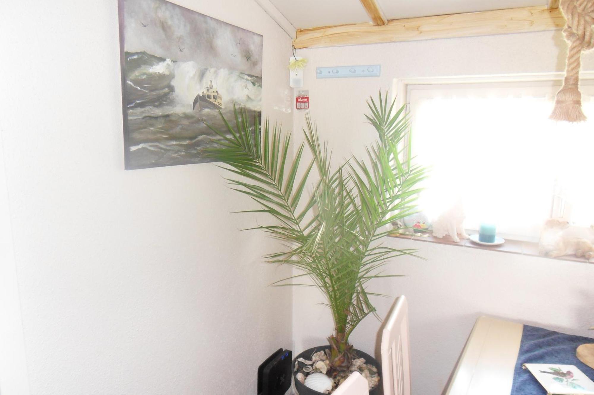 Mi Corazon Huisnummer 122 De Panne Exteriér fotografie